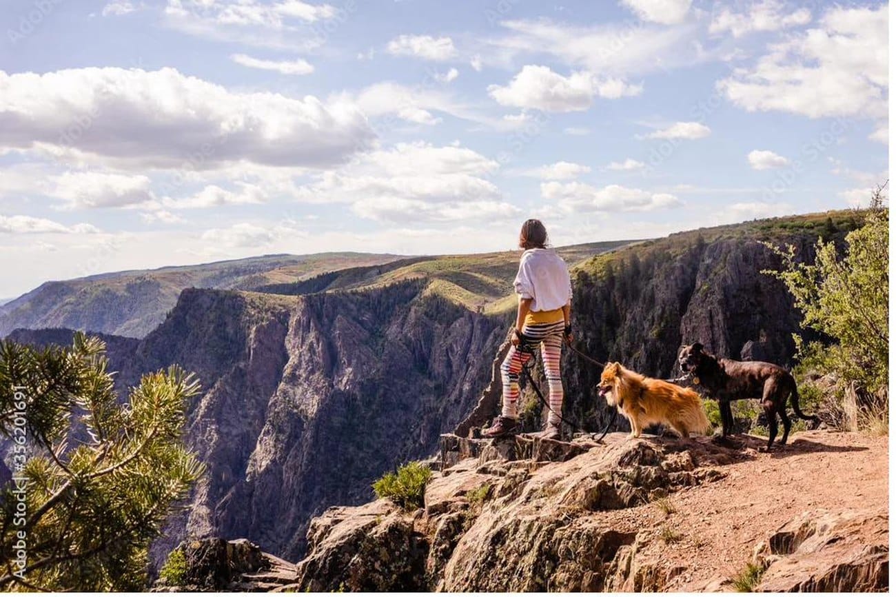 Hiker and two dogs at a Gunnison Valley canyon overlook