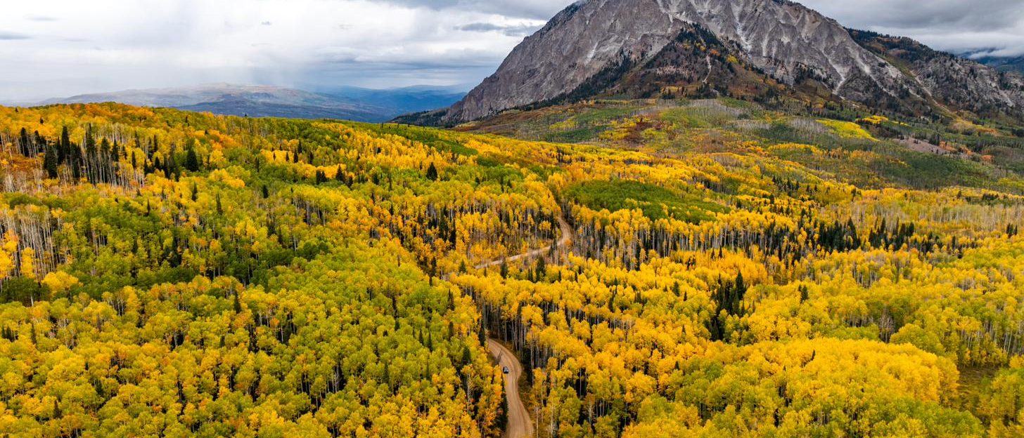 Building in Crested Butte, autumn aspens below Marcellina Mountain